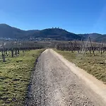 Le Ch'ti Alsacien Lägenhet Eguisheim