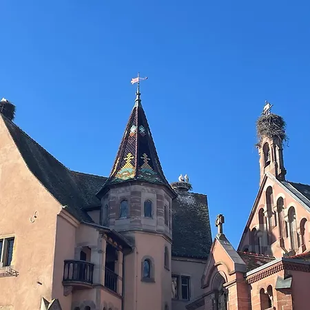 Le Ch'ti Alsacien Appartamento