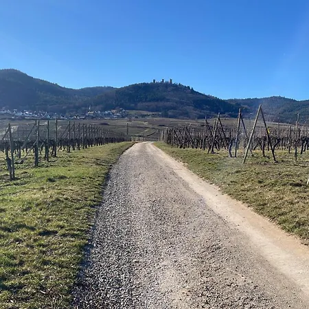 Le Ch'ti Alsacien Apartamento Eguisheim