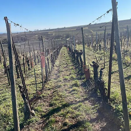 Appartamento Le Ch'ti Alsacien